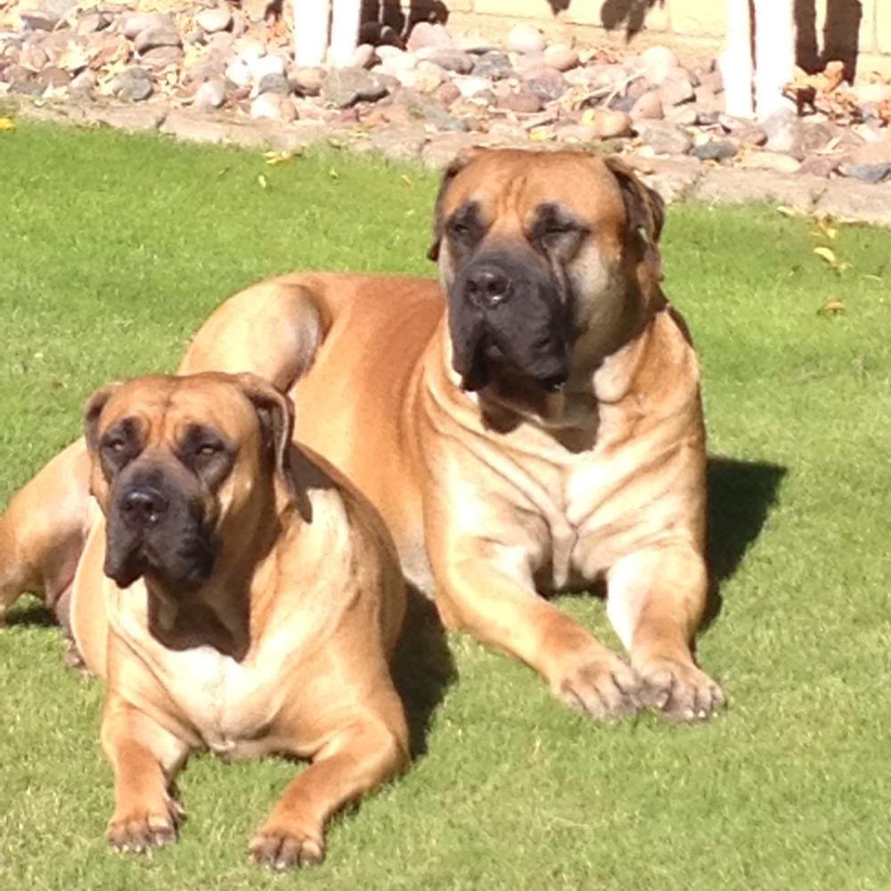 Meet your Posher, Matt